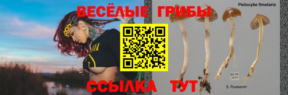 Галлюциногенные грибы Magic Shrooms  Вход с VPN  Псилоцибиновые грибы MAGIC MUSHROOMS  Нижний Тагил 